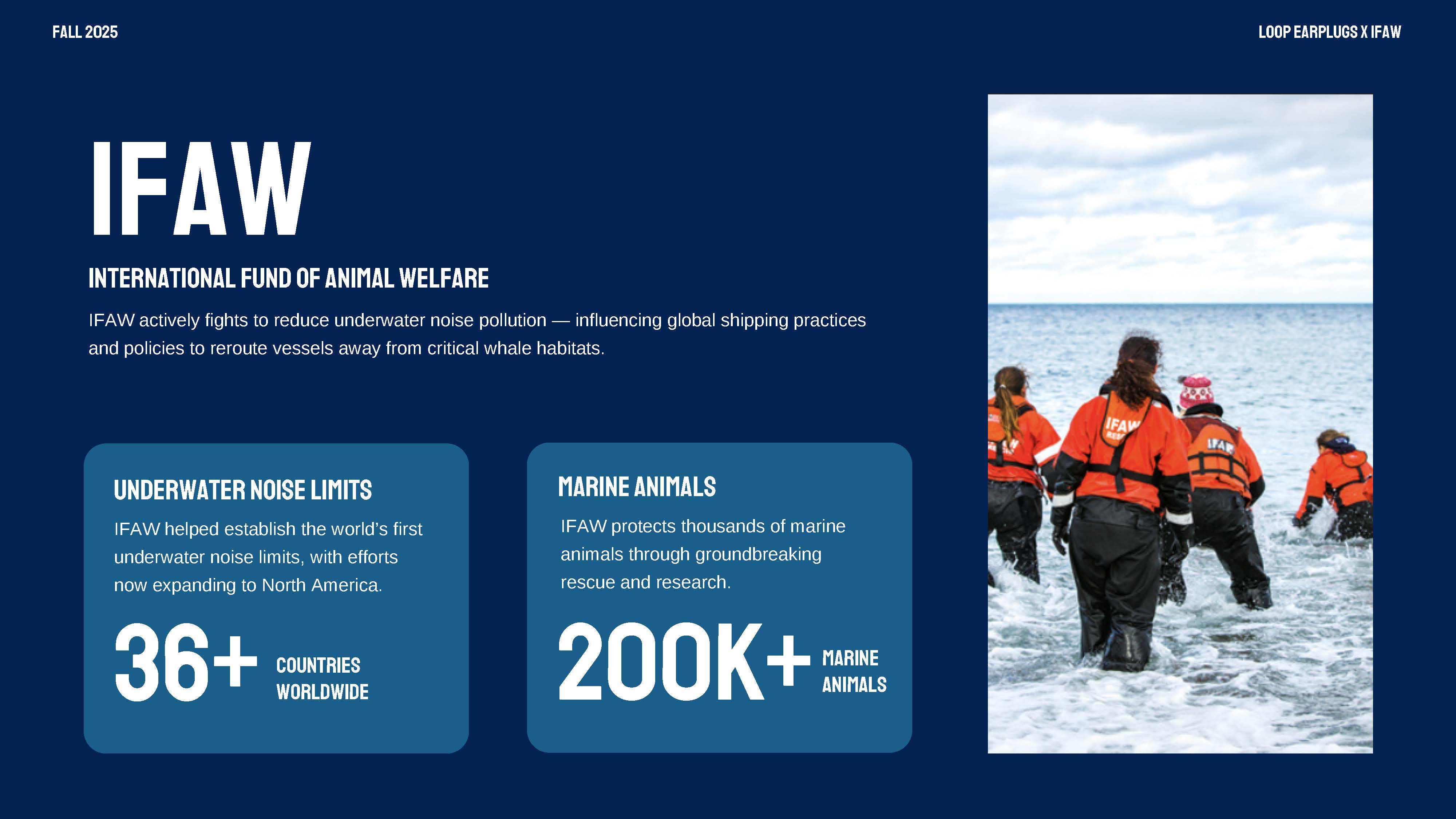 Overall Best of Show