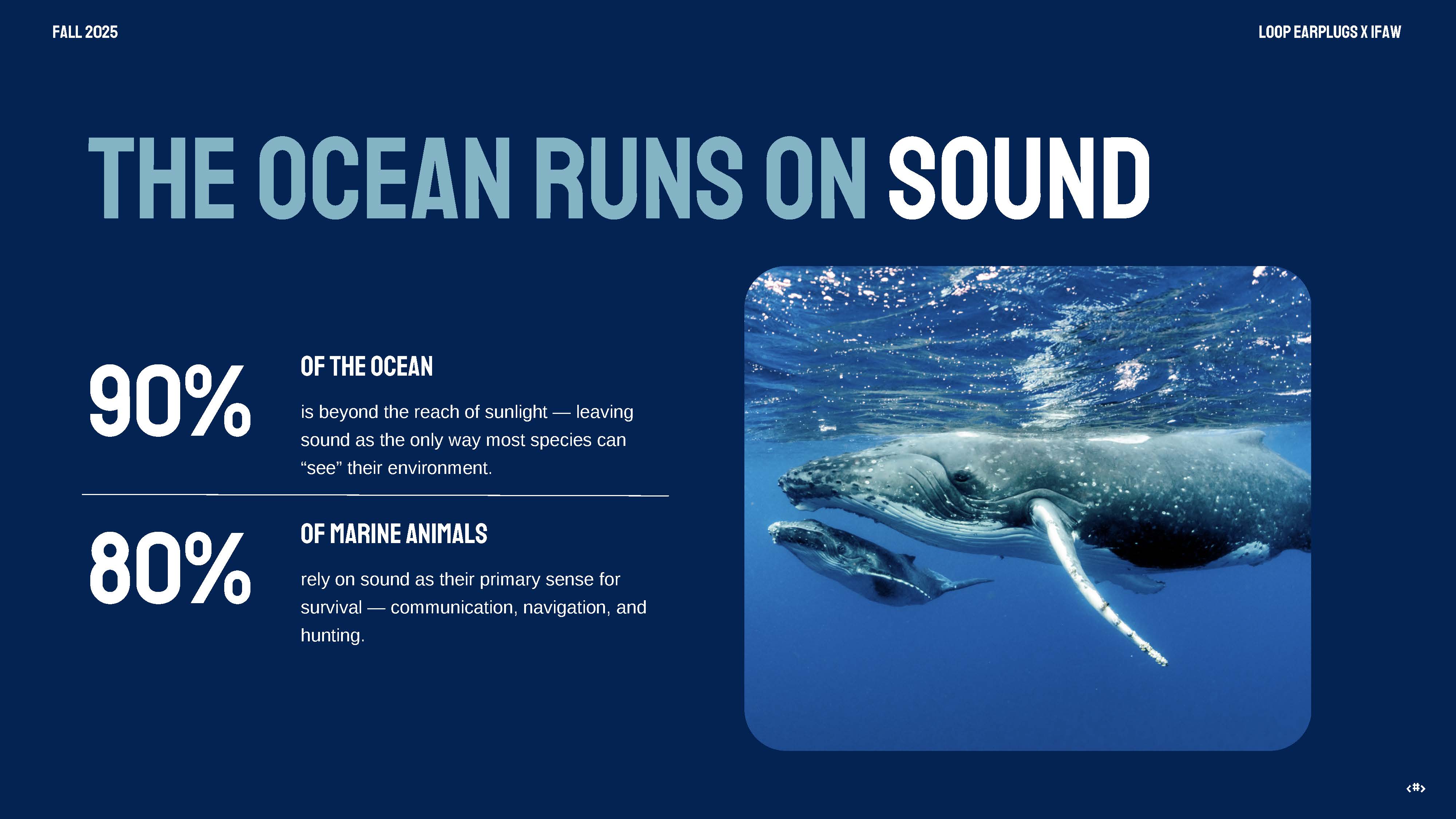 Overall Best of Show