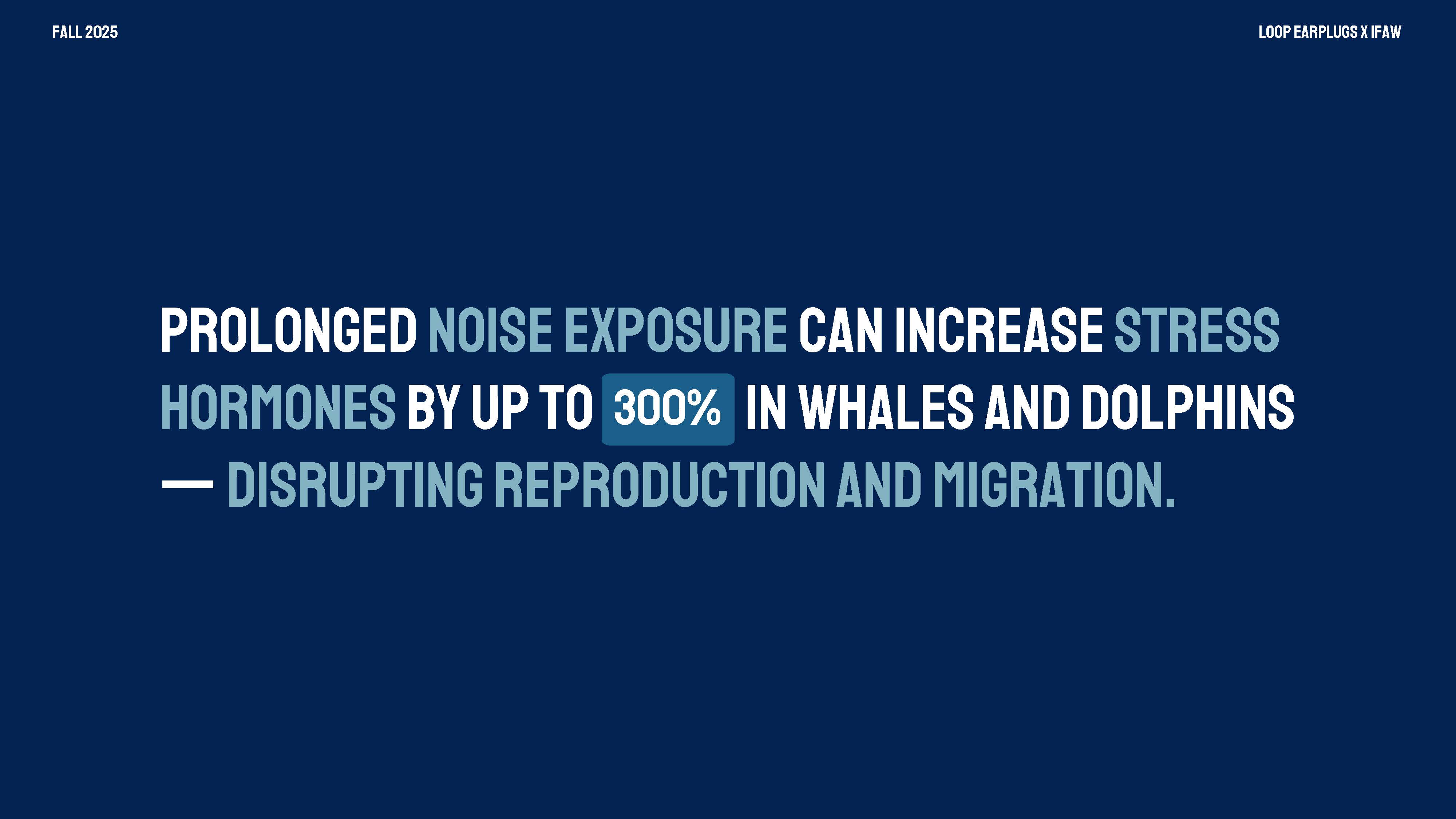 Overall Best of Show